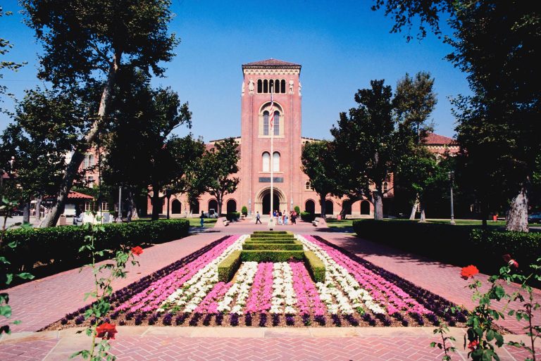 Meet Our Dentist Dr. Conor Perrin The Tooth Co.