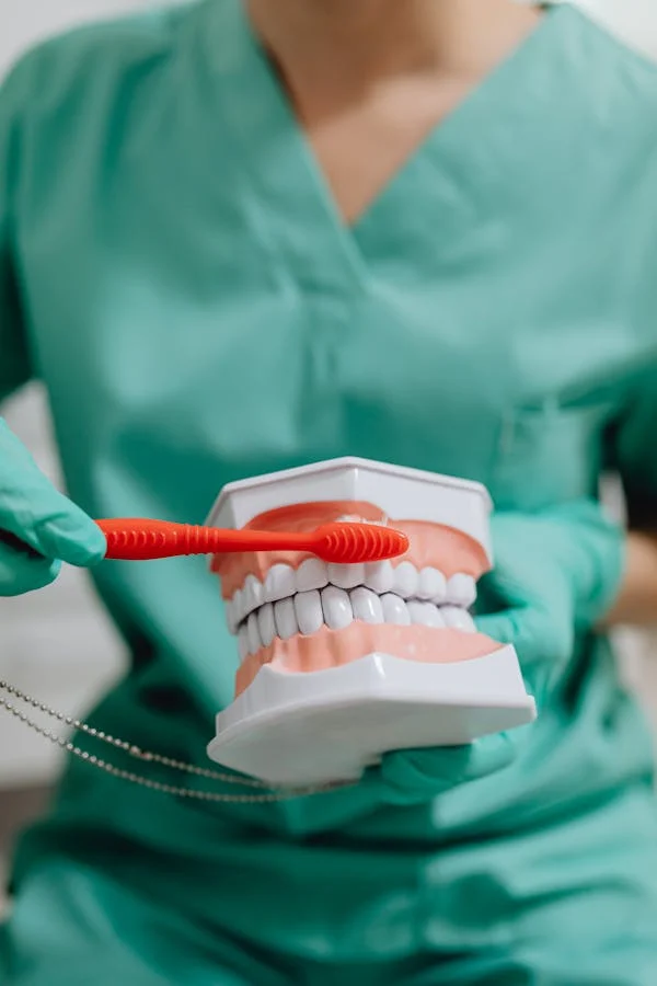 photo of a dentist brushing a dental model